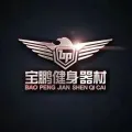 南通宝鹏健身器材科技有限公司的logo